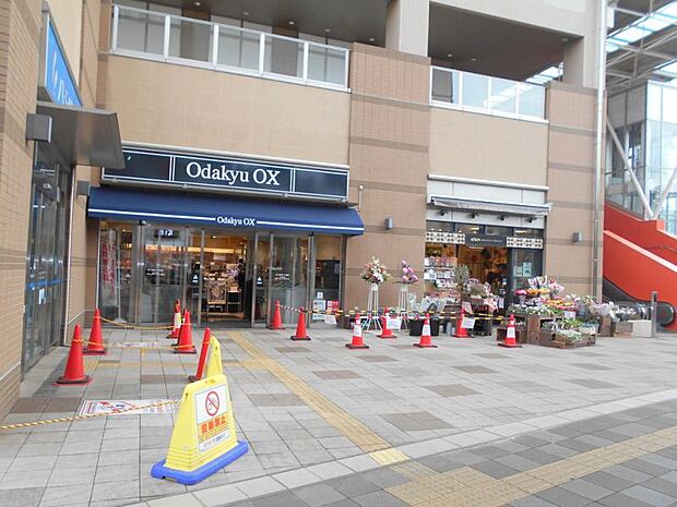 OdakyuOX相模原店236m