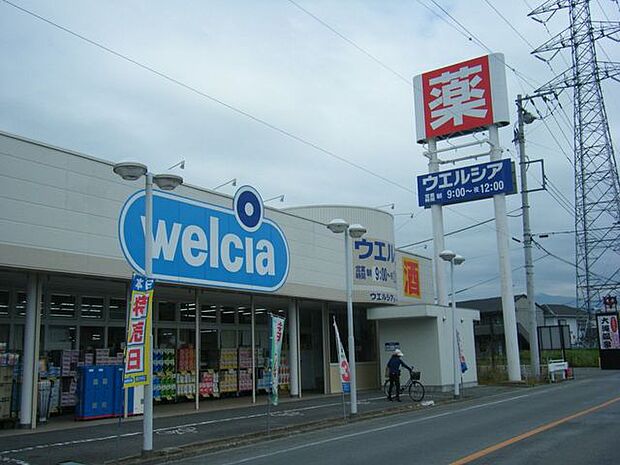 ウェルシア大里店　ウェルシア大里店 810m