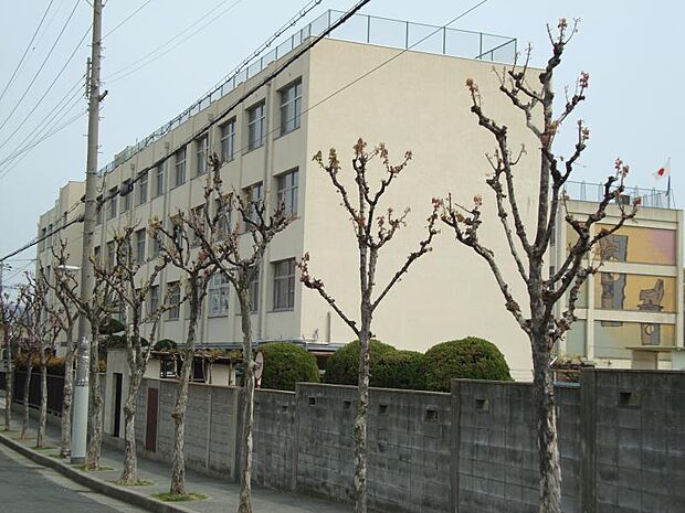 川辺小学校