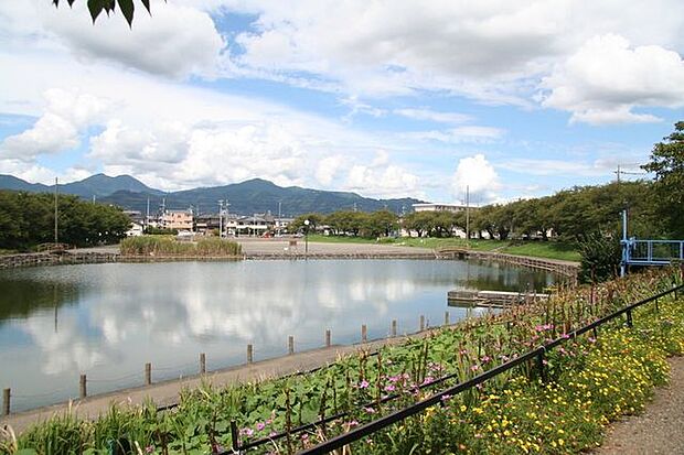 有東坂池多目的広場比較的広い敷地でお散歩が楽しめます(^^♪お花が綺麗に管理されており癒されます！遊具、駐車場はありません。 720m