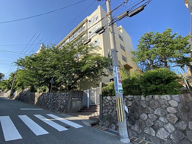 【中学校】神戸市立長峰中学校まで1503ｍ