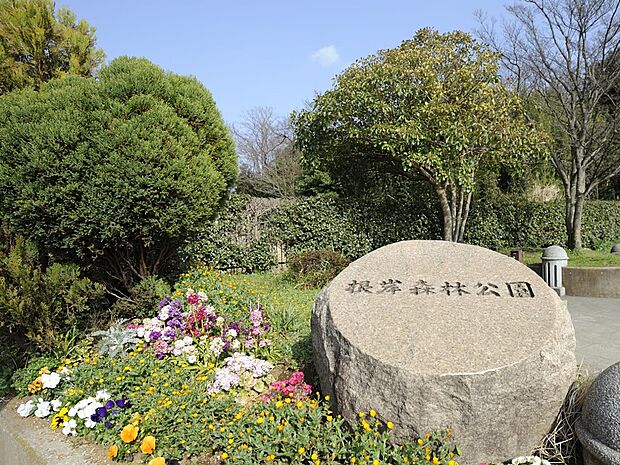 なだらかな敷地いっぱいに広がる芝生で、のびのび遊べる公園。春の桜は見事です！