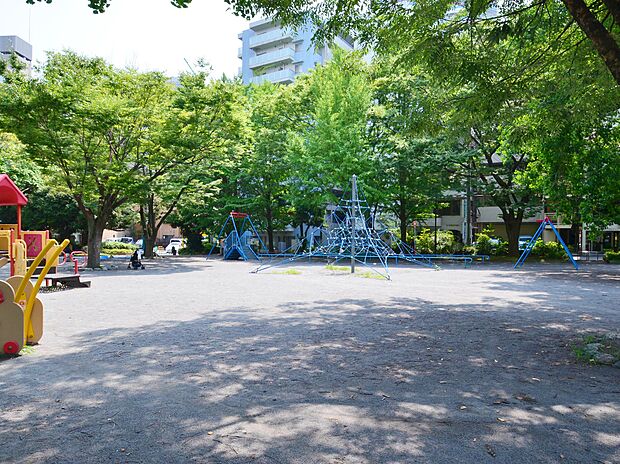 小さなお子様で賑わう遊具も充実した公園です。春には桜が楽しめます。