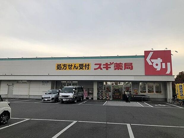 スギ薬局碧南城山店 260m