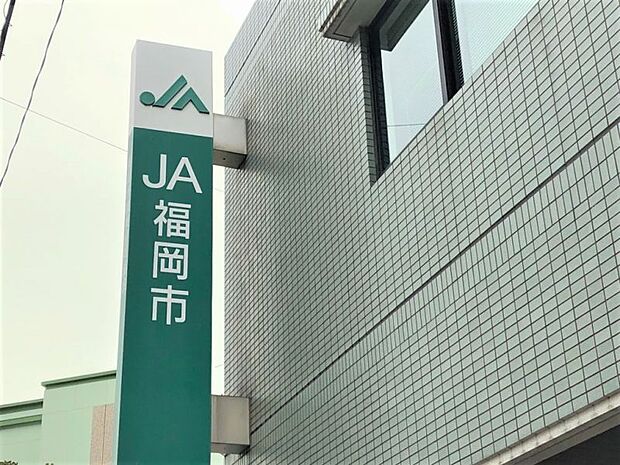 ＪＡ福岡市東部松崎まで約1100ｍ