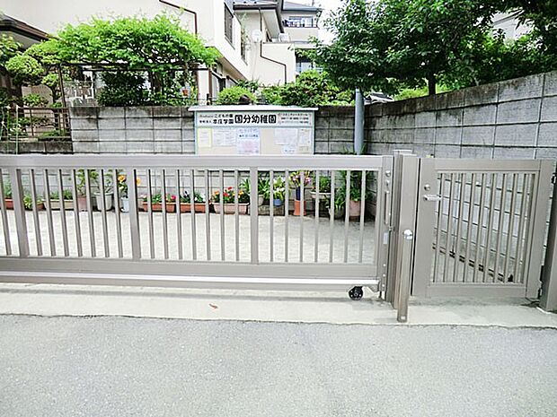 幼稚園・保育園 1200m 国分幼稚園(楽しい行事で幼児期の大切な思い出が育まれる幼稚園！)