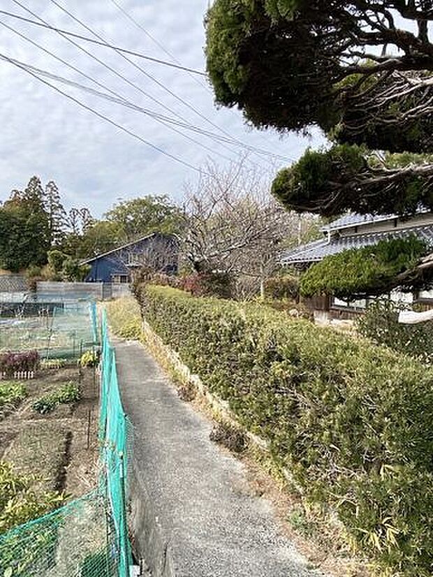 前面道路含む現地写真