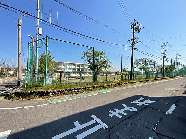 （周辺）市立南小学校（約230m）