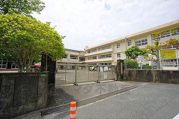 国分小学校