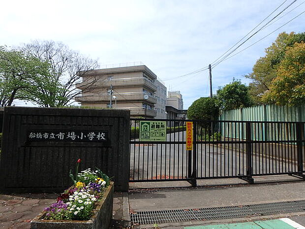 船橋市立市場小学校550m徒歩7分