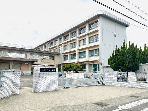【小学校】松山市立たちばな小学校まで1254ｍ