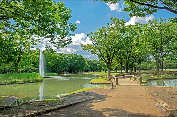 代々木公園の外観