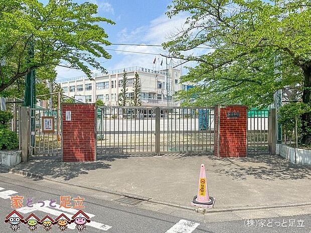 足立区立青井中学校 撮影日(2023-05-11) 1000m