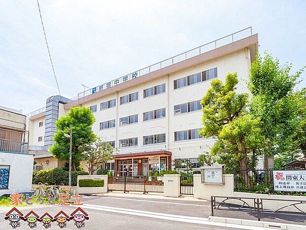 葛飾区立新宿中学校 撮影日(2021-07-12) 900m