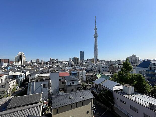 バルコニーからの眺望は、街のシンボルである東京スカイツリーが一望できます。