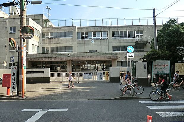 小学校 600m 西東京市立田無小学校