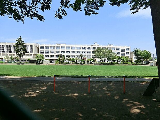 小学校 260m 小金井市立第二小学校