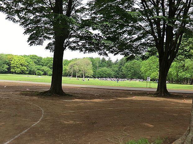 公園 1100m 小金井公園