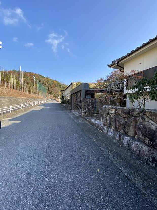 前面道路含む現地写真