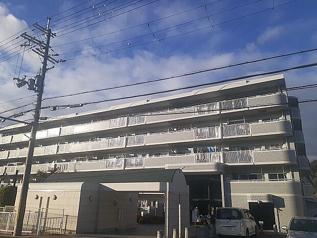 朝倉グリーンマンション(3LDK) 1階/１１４号室のその他画像