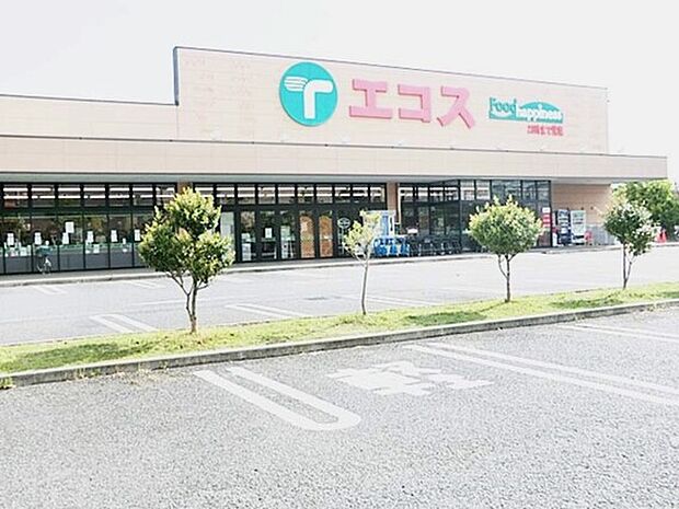 エコスたいらや築地店　徒歩10分（約750m)