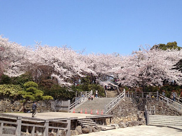 飛鳥山公園：400ｍ（徒歩5分）