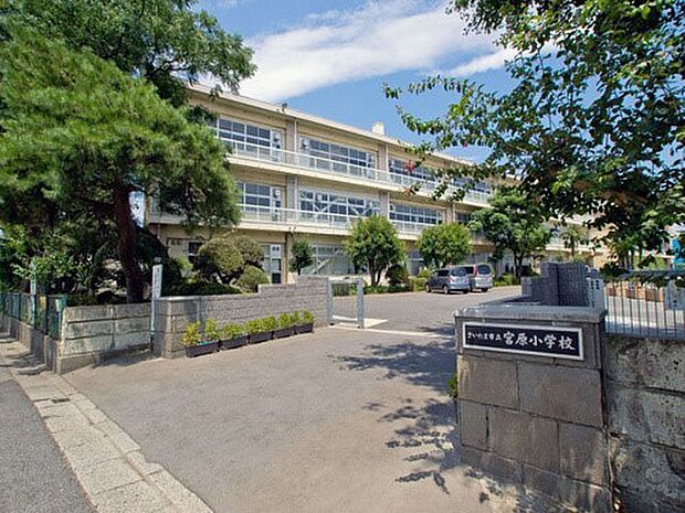 さいたま市立宮原小学校：1800ｍ（徒歩23分）