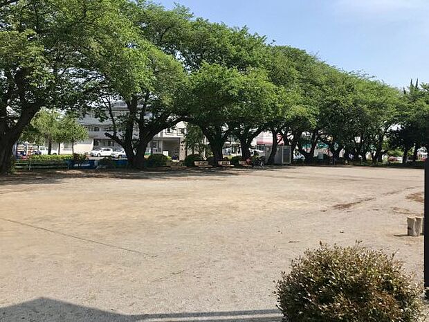 つつじケ丘公園：800ｍ（徒歩10分）