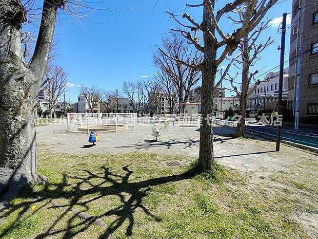 近くに公園があります　天気の良い日はお散歩はどうですか