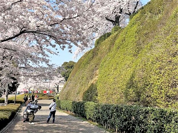 【周辺施設/公園】前橋公園まで約1100ｍ（車3分）。春は桜がきれいな公園。ご家族とお花見を楽しまれるのはいかがでしょうか。