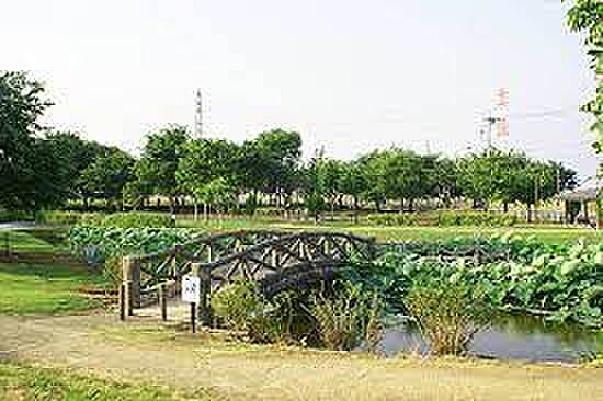 【公園】深谷　中宿公園まで302ｍ