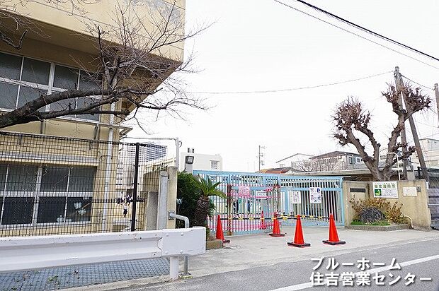 【小学校】堺市立榎小学校まで339ｍ