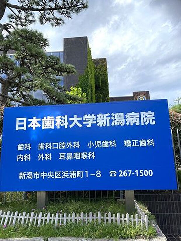 日本歯科大学新潟病院 1040m