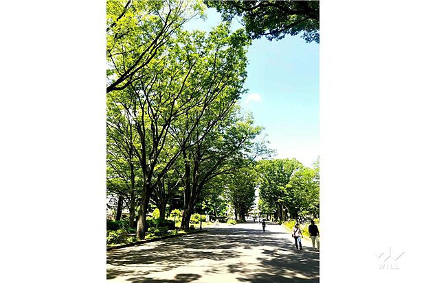 駒沢オリンピック公園(売主様提供)。緑豊かな広々とした敷地でお散歩やランニングを楽しんでいただけます。ドッグランもございます。周辺にはレストランやカフェが充実しており休日のお出かけにおすすめです。
