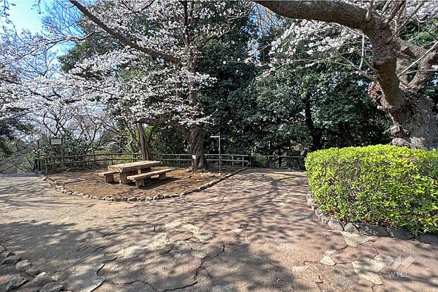 田園調布せせらぎ公園の外観