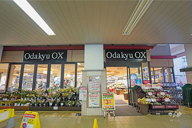 Odakyu OX(梅ヶ丘店)の外観