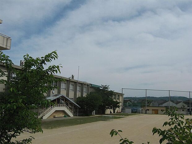 枚方市立桜丘小学校（701m）