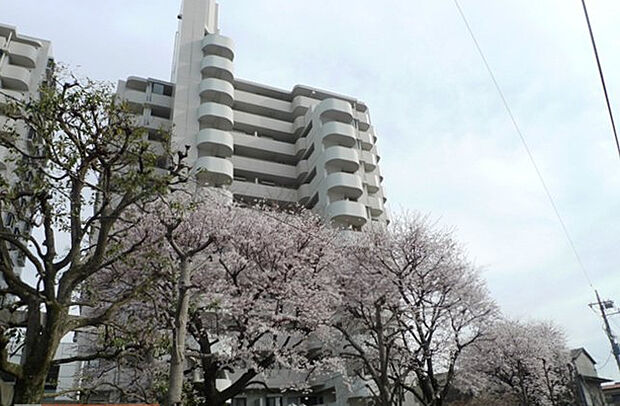 ウィングステイツ御本丸公園(3LDK) 9階のその他画像