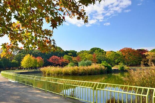 【公園】長居スタジアムまで512ｍ