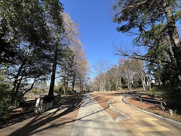 〈石神井公園〉