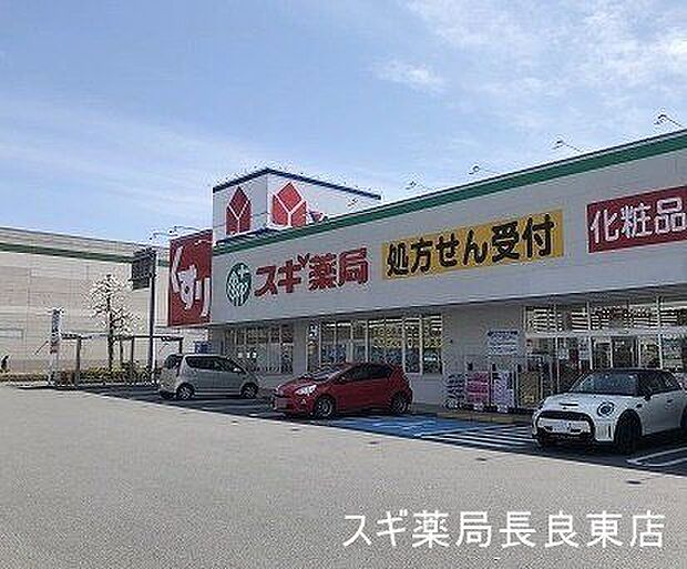 スギ薬局長良東店 1050m