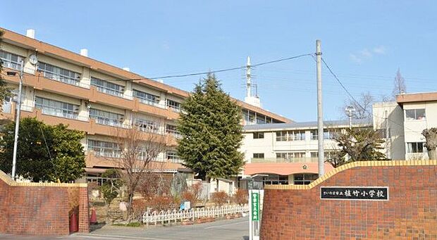 植竹小学校住宅街にあり環境は良好です。元気の良い学校です。 370m