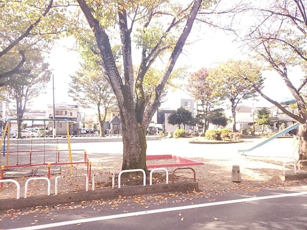 公園 梨の木公園 214ｍ