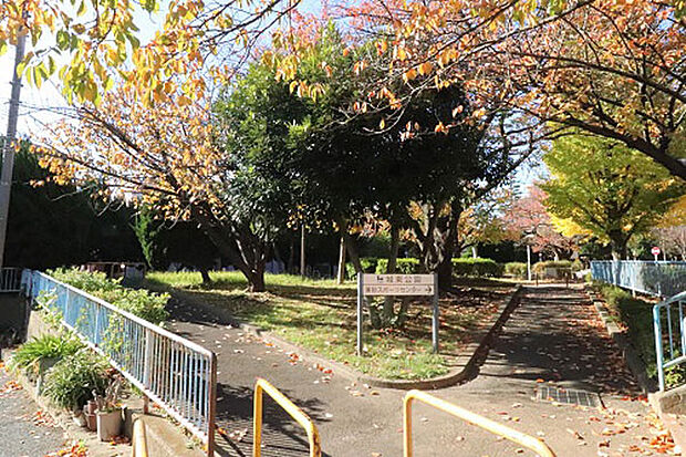 江東区城東公園（約40ｍ、徒歩1分)