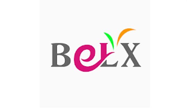 BeLX（ベルクス） 板橋中台店（642m）