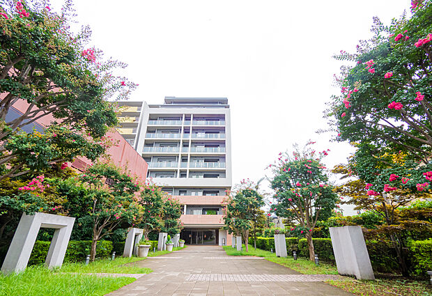 マンションの入り口は美しいお花がたくさん咲いており、ご帰宅時の疲れを癒してくれるかのようです。（2022年9月撮影）