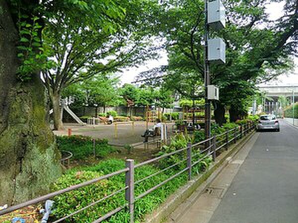 周辺環境:山下公園