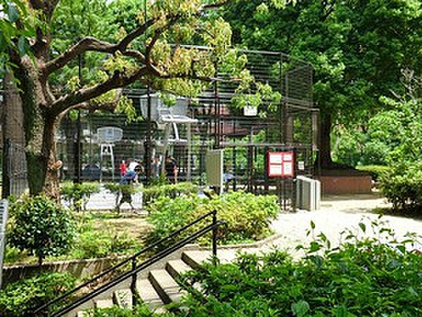 周辺環境:美竹公園