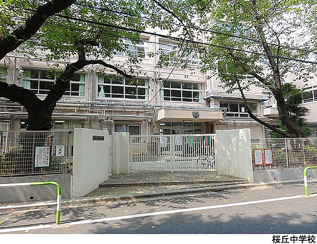 桜丘中学校