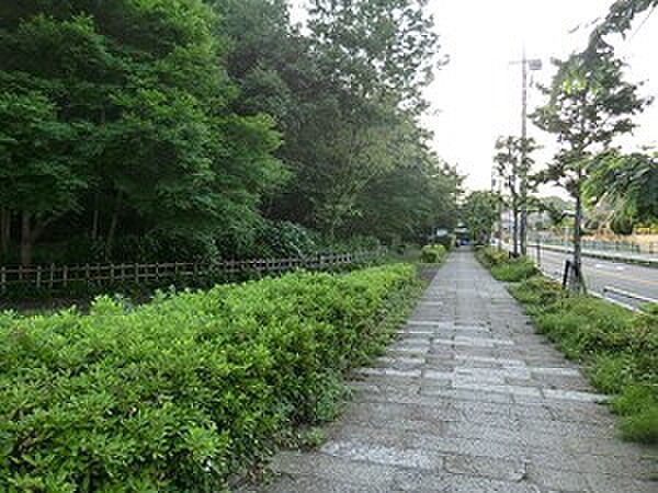 周辺環境:岡本隧道公園
